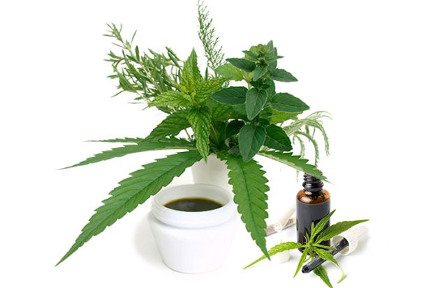 CBD Oil