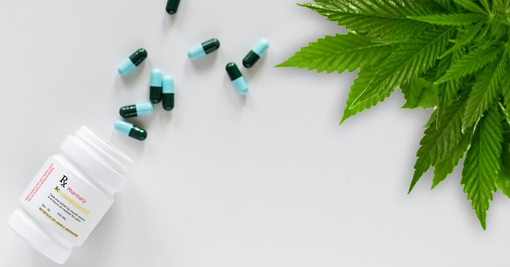 Cannabis Cultivation